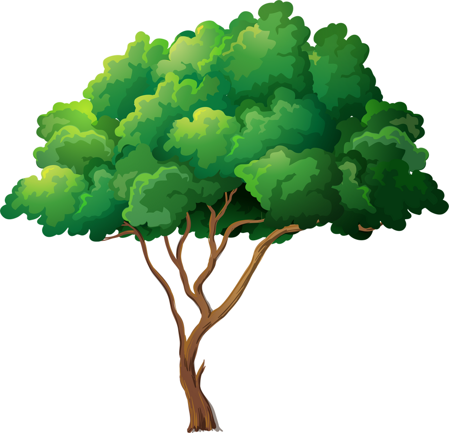 Tree with Leaves Illustration