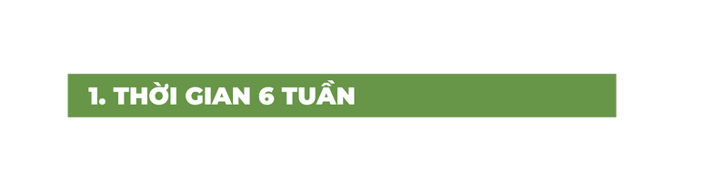 1 THỜI GIAN 6 TUẦN