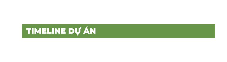 TIMELINE DỰ ÁN