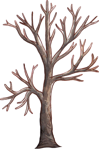Dry Tree Watercolor