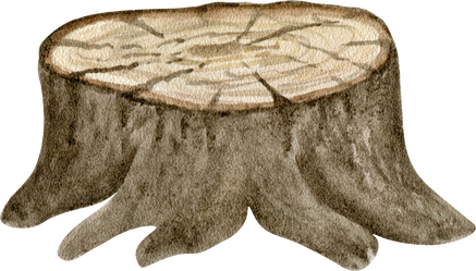 Hand Drawn Tree Stump