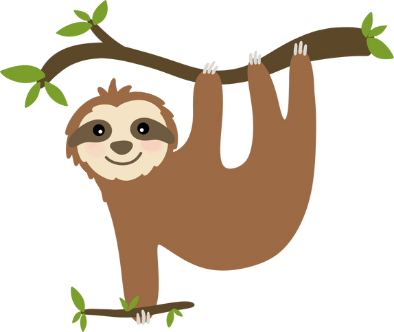 Sloth hanging on tree