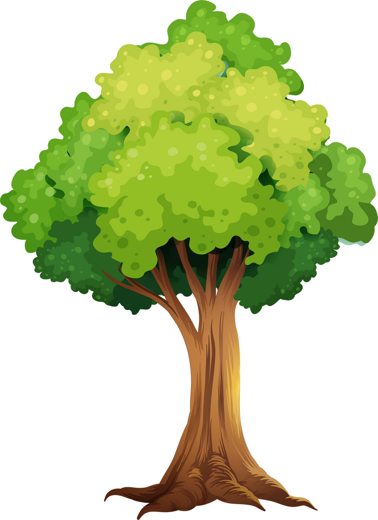 Illustration of a Tree